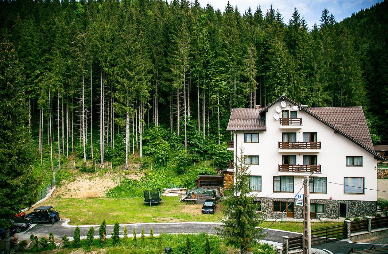 Perla Padurii Hotel Valea Mare  Exterior foto