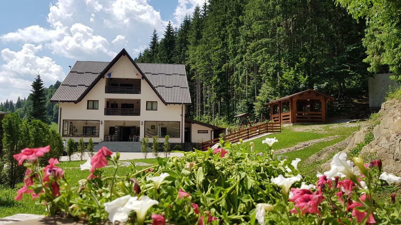 Perla Padurii Hotel Valea Mare  Exterior foto